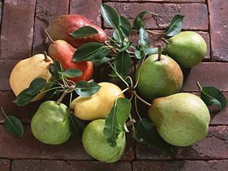 秋季清心润肺的食物,初秋吃什么润肺