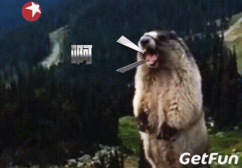 成都地铁18号线开启机场直达线,成都地铁18号线快线时间段最新