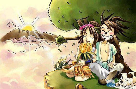 豆瓣评论标签是什么,豆瓣的评论