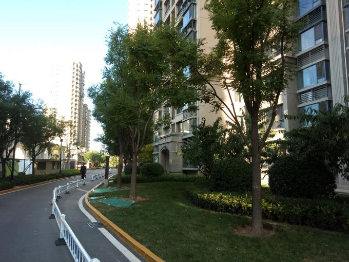 光荣v9play王者光荣体验测评,光荣v9play游戏测试