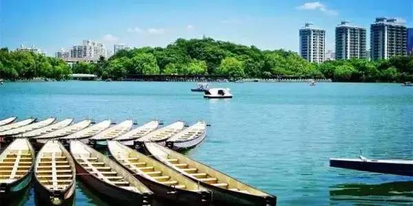 上海一日游古镇最佳路线免费景点,上海周末旅游胜地有哪些