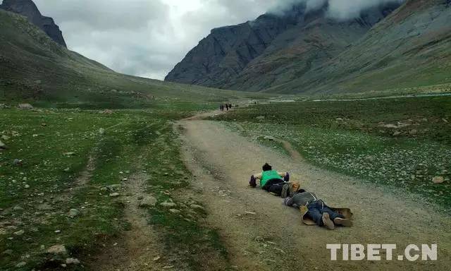 他们拉着板车带着食物三步一拜去朝圣