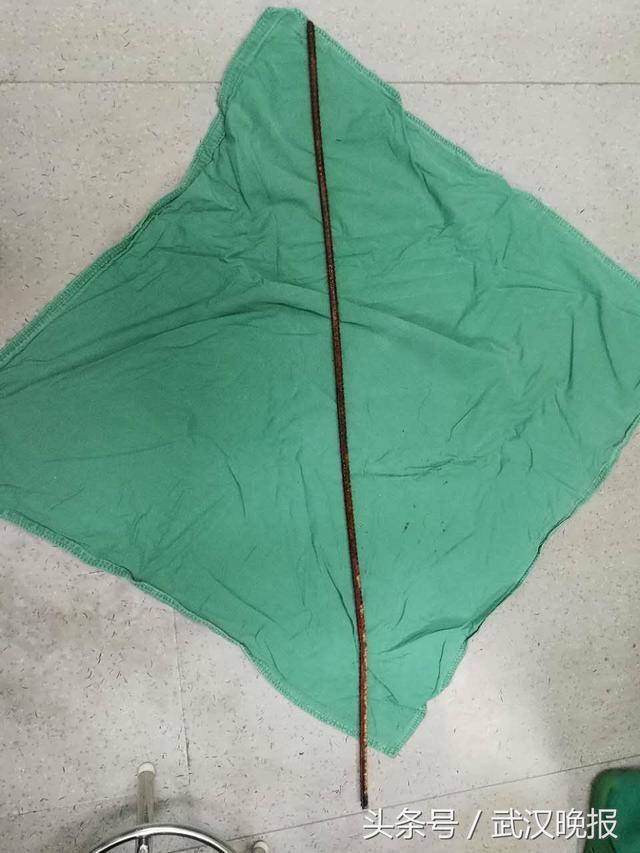 华科研一女生3年来不断受到电话短信骚扰，还被交警“找上门”，只因别人做了这件事｜武汉早班车