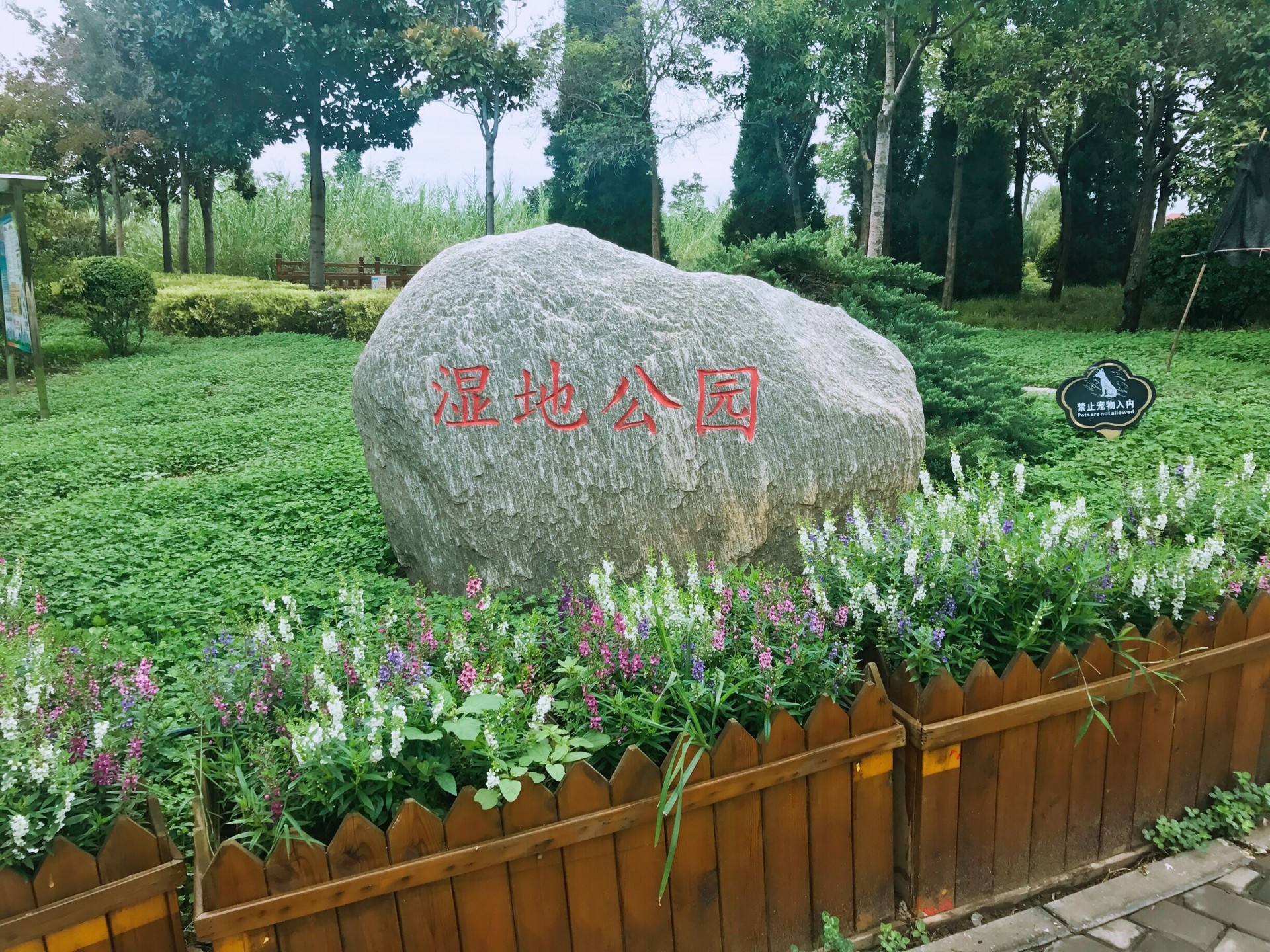 离城市最近的公园,郑州十大城市公园