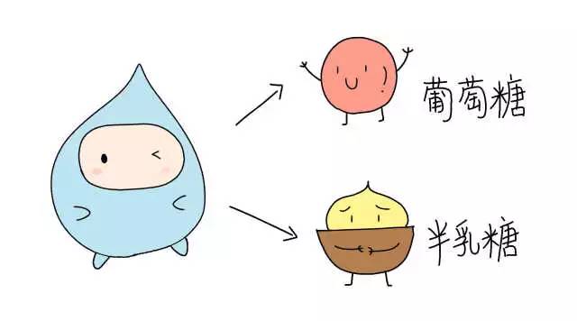 乳糖不耐受的人一定不能喝牛奶吗,乳糖不耐受的人可以继续喝牛奶吗