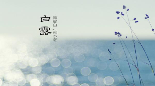 白露的节气南方需要注意养生吗,白露节气养生