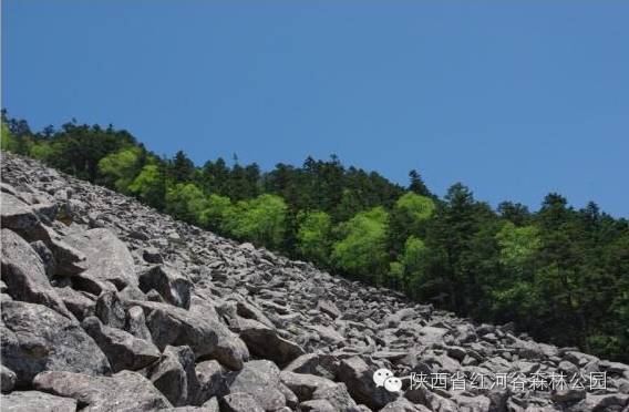 红河谷一日游最佳攻略,红河谷旅游攻略11月一日游