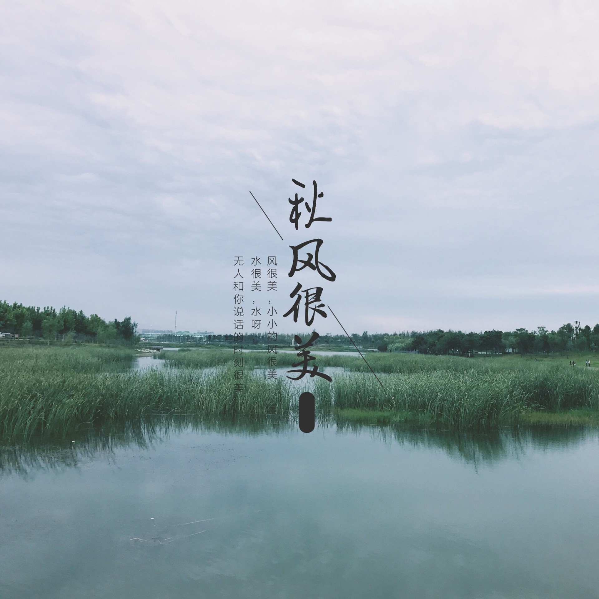 离城市最近的公园,郑州十大城市公园