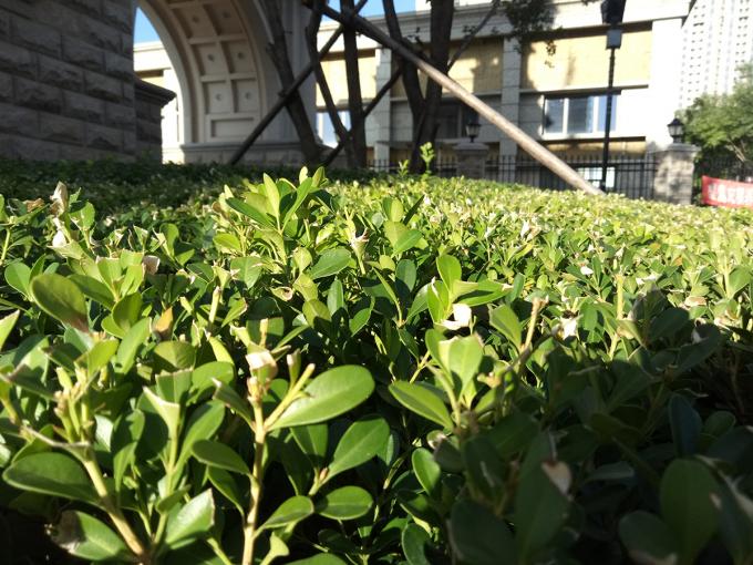 光荣v9play王者光荣体验测评,光荣v9play游戏测试