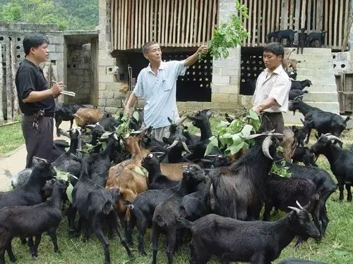 广西最美山水小城,广西山水美如人间仙境在哪里
