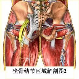 第917期｜骨架与平衡！人体架子是练好太极拳的大问题（推荐阅读）