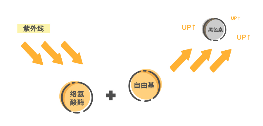 晒黑的黑色素怎么才能淡化,晒黑了去除黑色素就能白吗