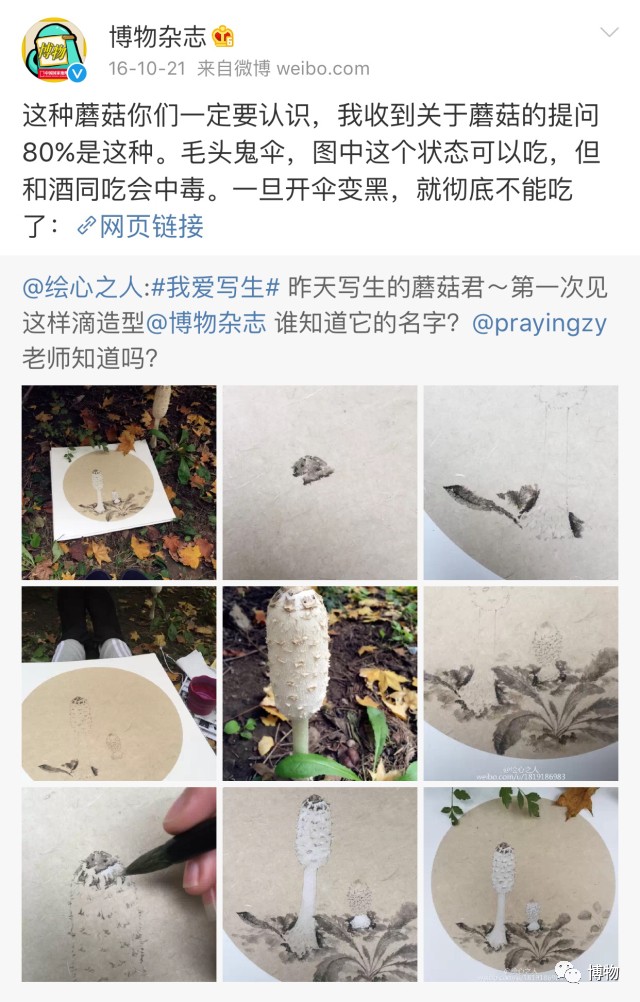 为啥马里奥要吃蘑菇才能长大？