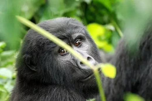 目的地｜每个人一生中，都值得有一次壮游，而这17个目的地，让你放心去High！