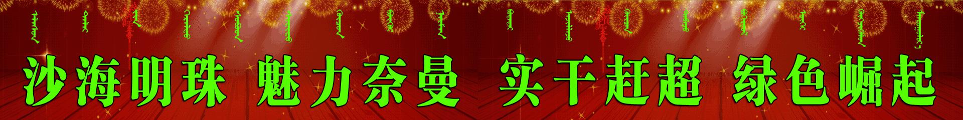 奈曼旗实验小学学校,教育学校实验小学