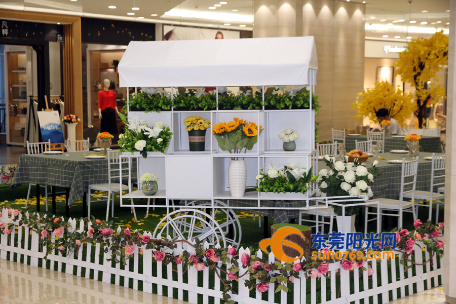 东莞海德壹号广场x11店,东莞海德壹号广场新开的展会