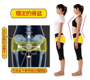 第917期｜骨架与平衡！人体架子是练好太极拳的大问题（推荐阅读）