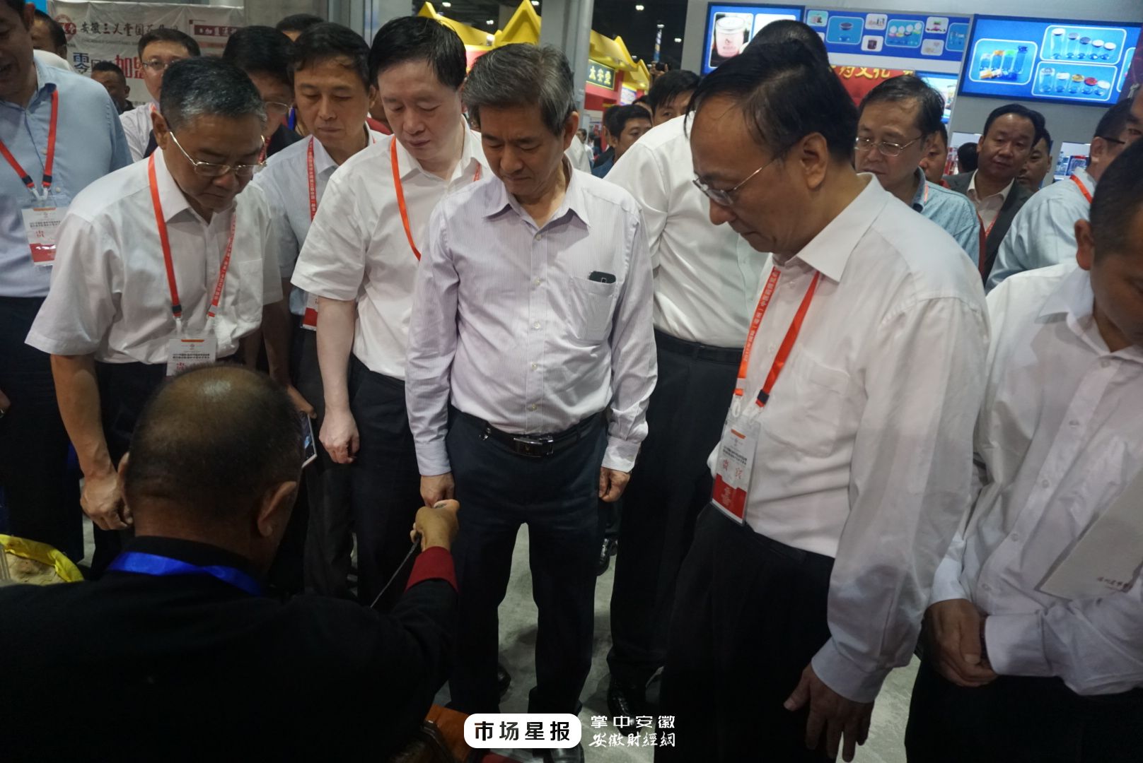 亳州2019年药博会,2016亳州药博会开幕式