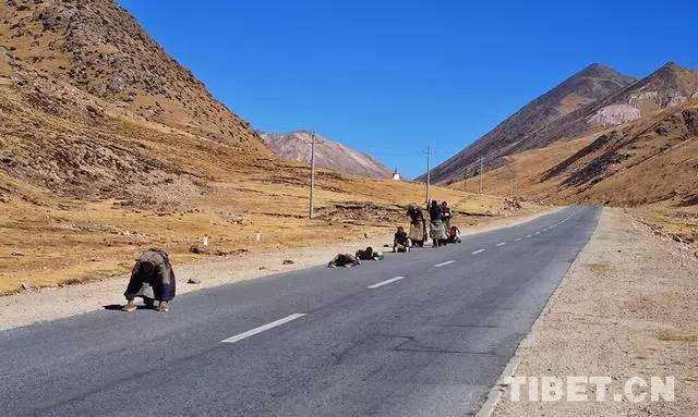 他们拉着板车带着食物三步一拜去朝圣