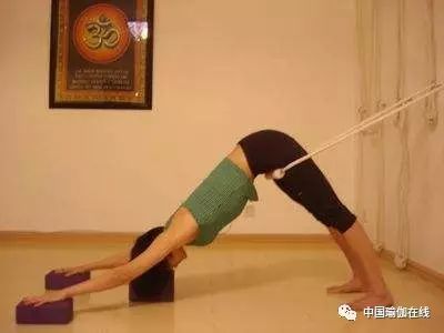 瑜伽经期可以练习的动作,生理期能做瑜伽下犬式么