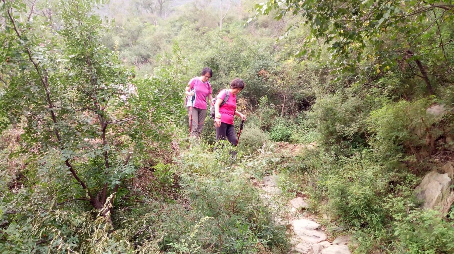 龙泉寺山小环穿——与教师一起爬山庆祝教师节