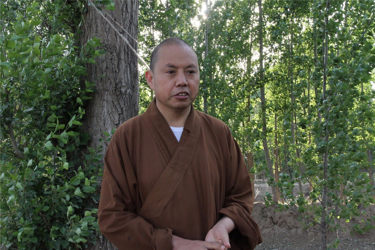 念念不忘必有回响歌曲,念念不忘必有回响的出处