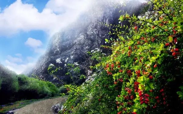 五一期间银川有哪些免费景点,银川四月免门票的地方