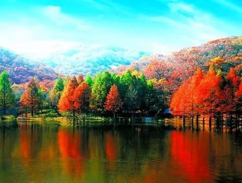 五一期间银川有哪些免费景点,银川四月免门票的地方