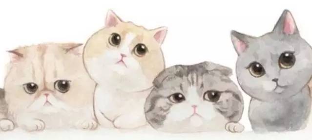 分享｜我喜欢你啊，却用友情开错了头！