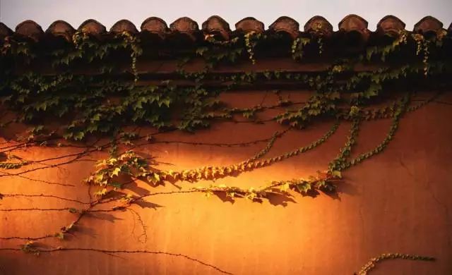 琚仐蹇樼殑鍙ゅ煄闀囨睙,闀囨睙鍙ゅ煄鍙ら晣