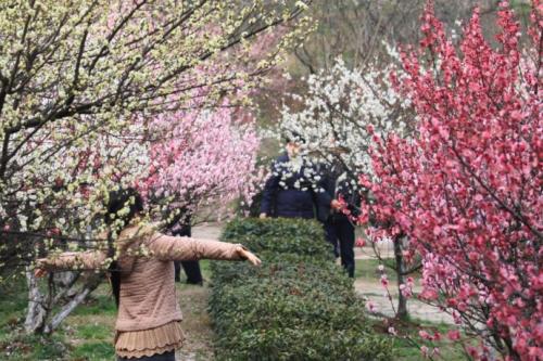 ppp项目适用政府采购法,ppp项目和政府采购项目