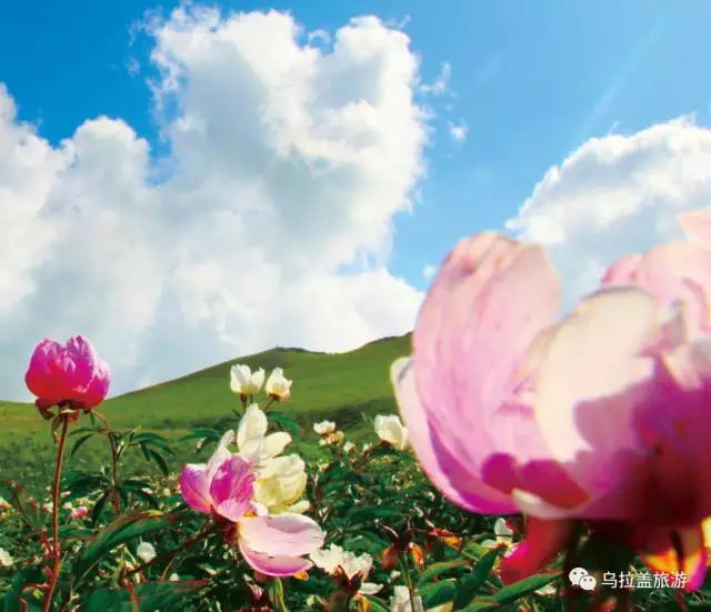 乌拉盖又叫什么,乌拉盖全称