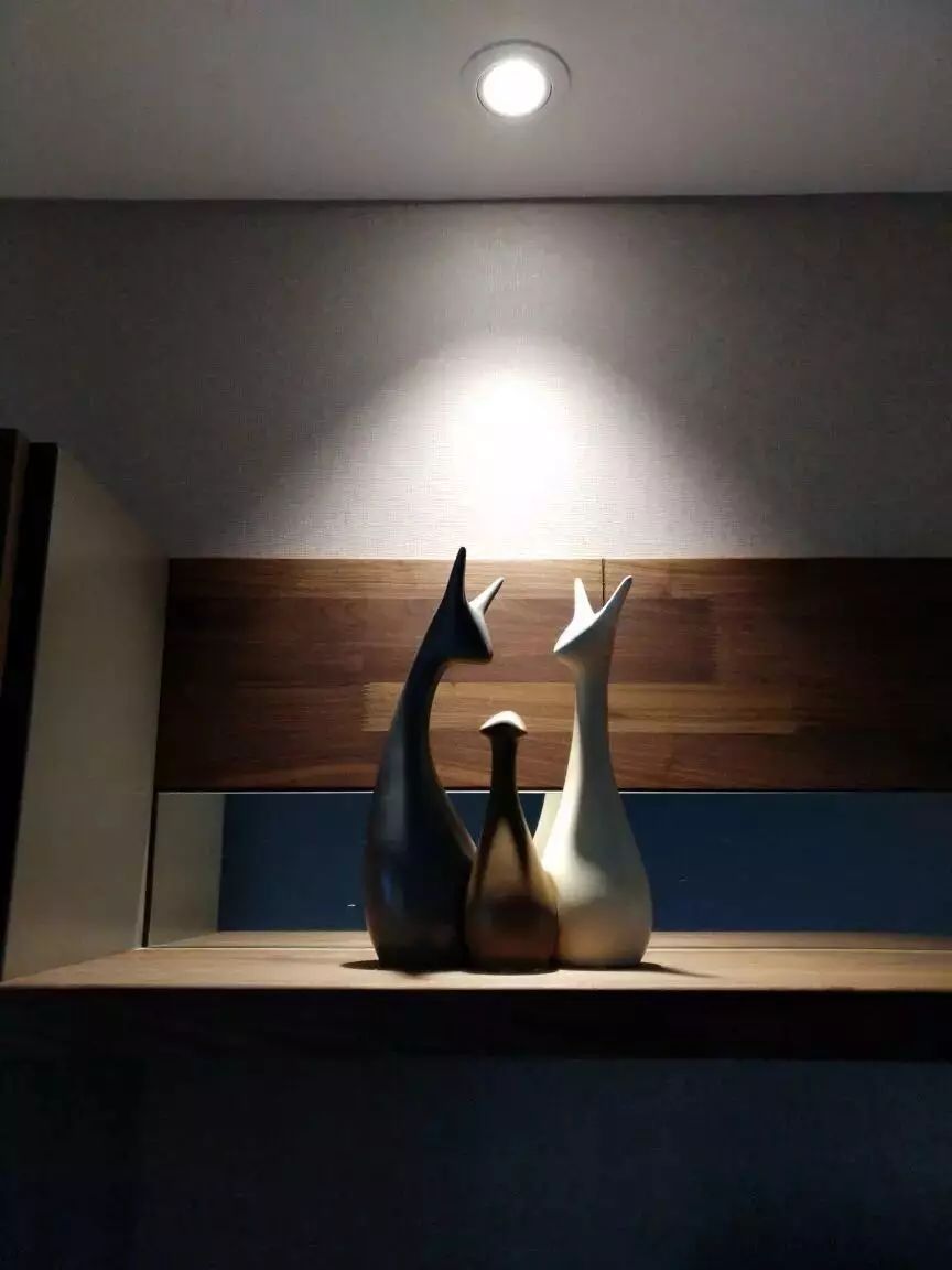 在淘宝上有什么好买的,在淘宝上买的很实惠的东西