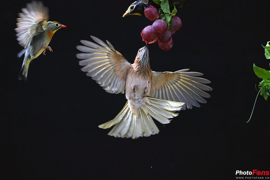 索尼g大师16-35镜头怎么样,索尼sel100400gm