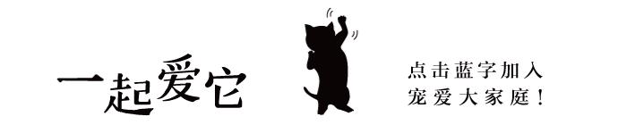 养宠知识长视频,新生犬0-1个月护理