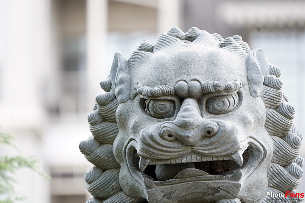 索尼g大师16-35镜头怎么样,索尼sel100400gm