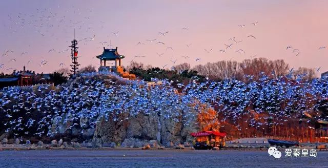 旅发大会硕果累累！孟书记用10个“比如”，向世界展示秦皇岛！