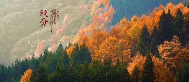 看看有关秋分的诗词,秋分的好文好诗