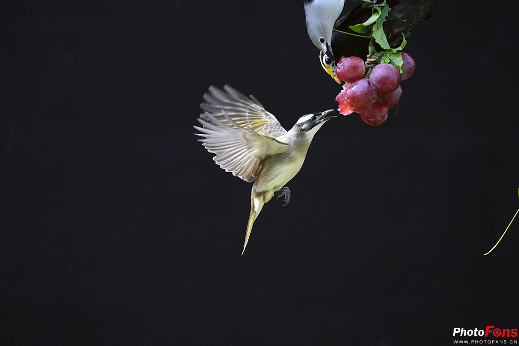 索尼g大师16-35镜头怎么样,索尼sel100400gm