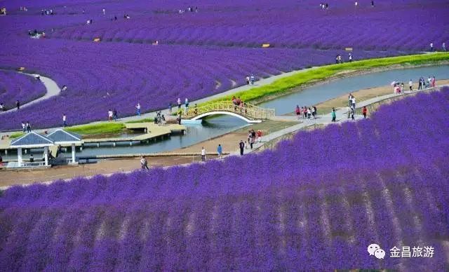 去金昌玩要注意什么,去金昌旅游需要带什么