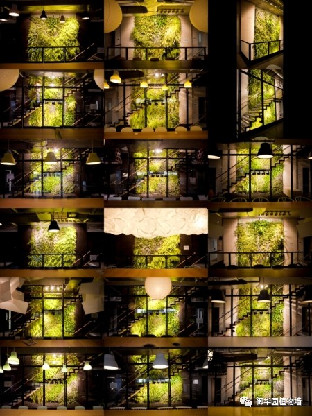 陕西休闲场所植物墙设计,河北休闲场所植物墙施工