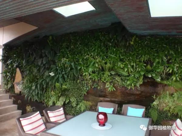 陕西休闲场所植物墙设计,河北休闲场所植物墙施工