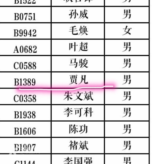 北马有健康跑吗,北马的精气神