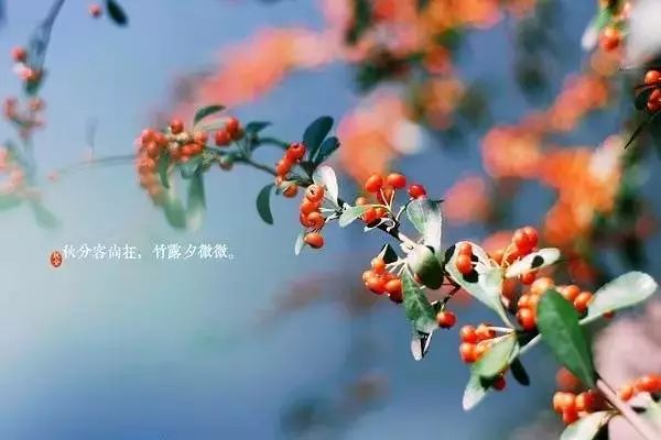 南湖秋分丨别有微凉处，入眼已秋分