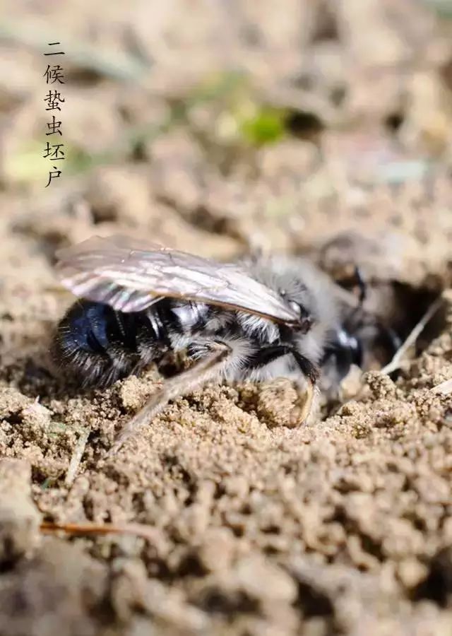 南湖秋分丨别有微凉处，入眼已秋分