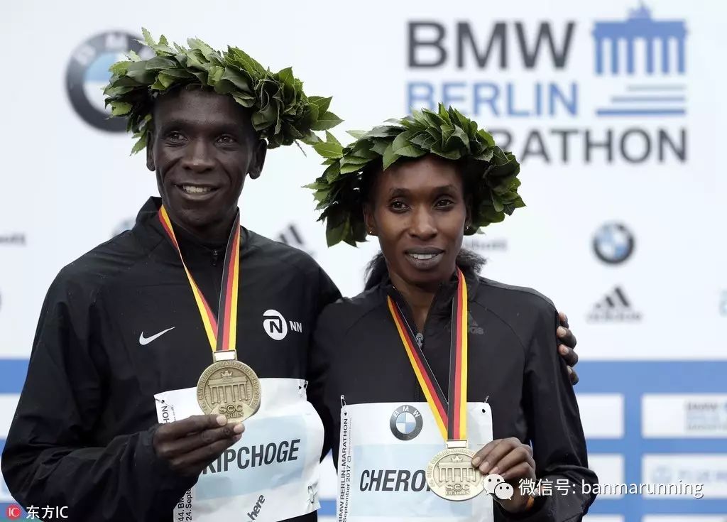 nike团队和adidas,nike和adidas谁更大