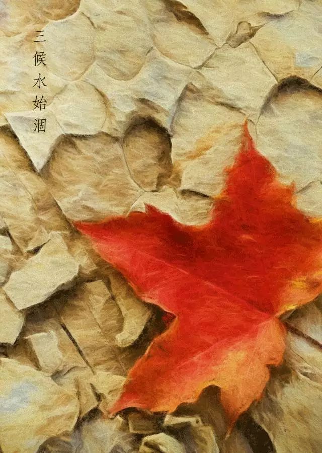 南湖秋分丨别有微凉处，入眼已秋分