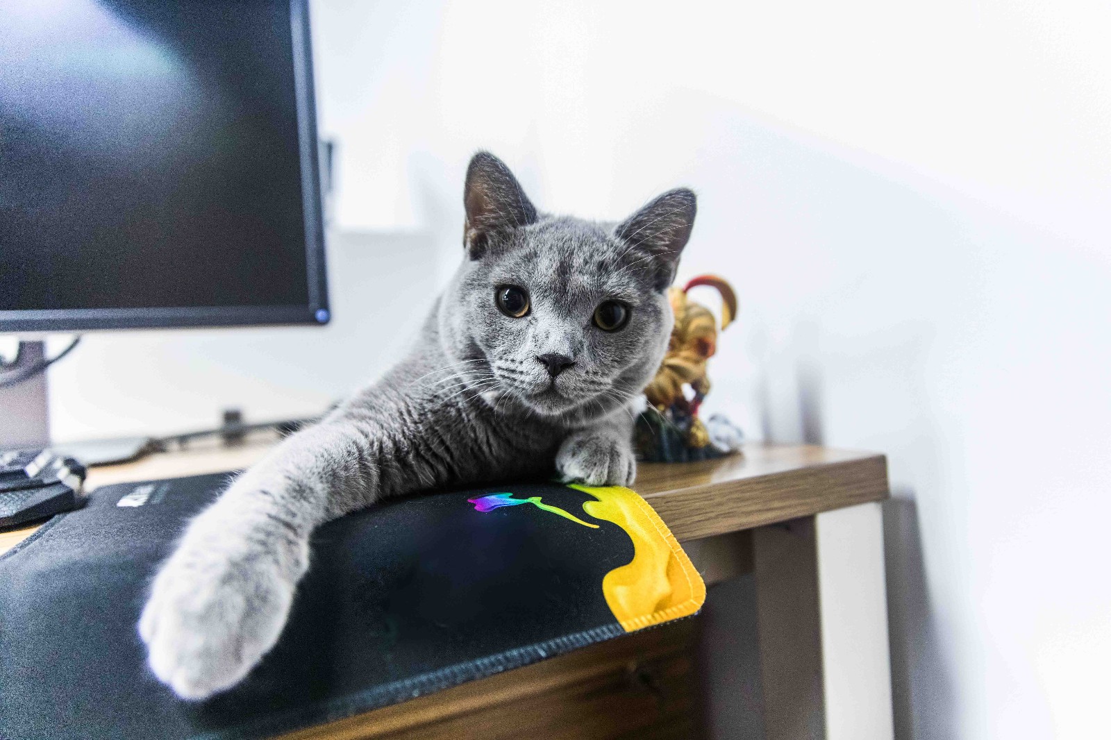 一番赏顶点悟空手办开箱测评,悟空总决赛手办开箱