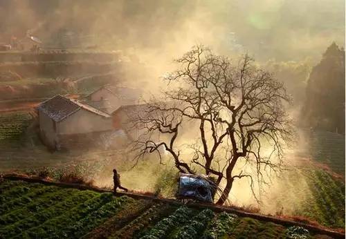 各种摄影题材大全,摄影哪种题材容易震撼人心