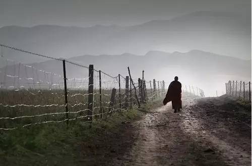 各种摄影题材大全,摄影哪种题材容易震撼人心